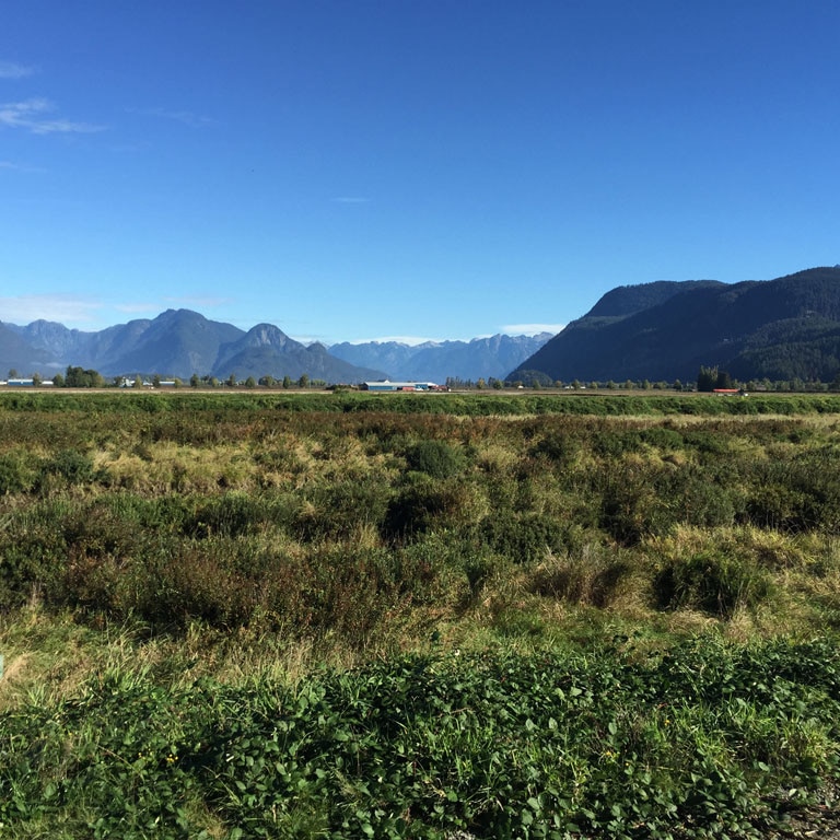 Vancouver Horseback Trail Riding