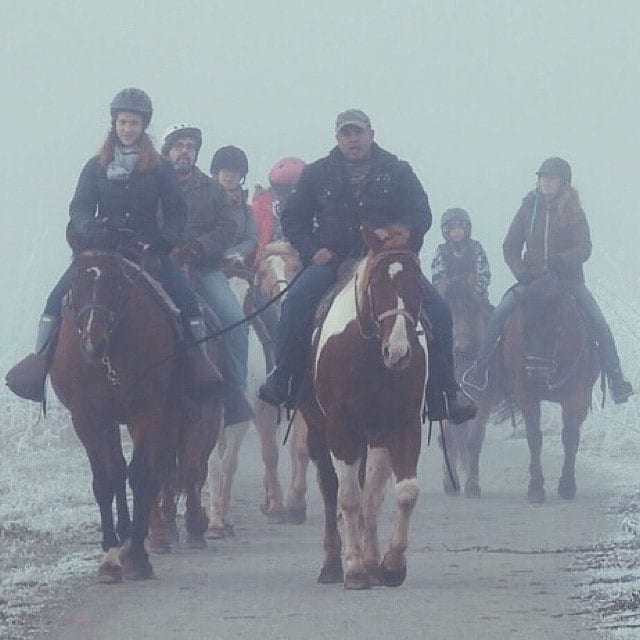 Vancouver Horseback Trail Riding while snowing