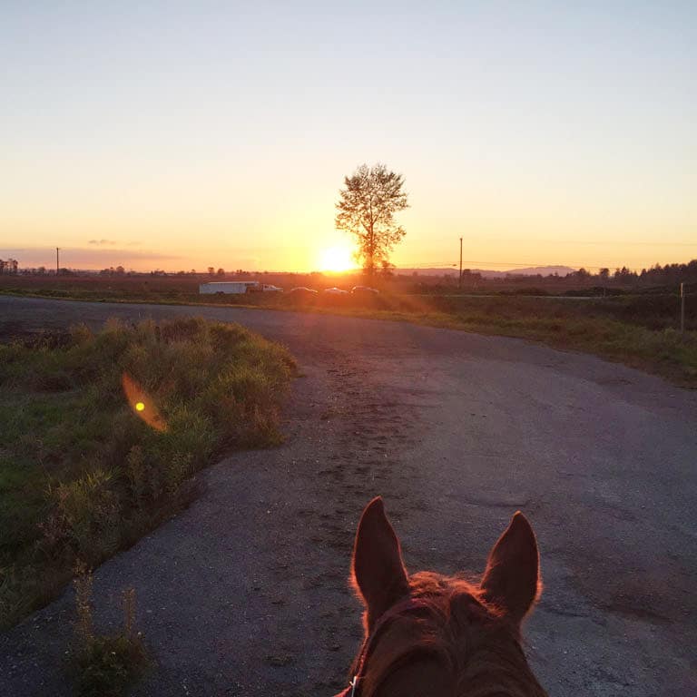 Vancouver Horseback Trail Riding