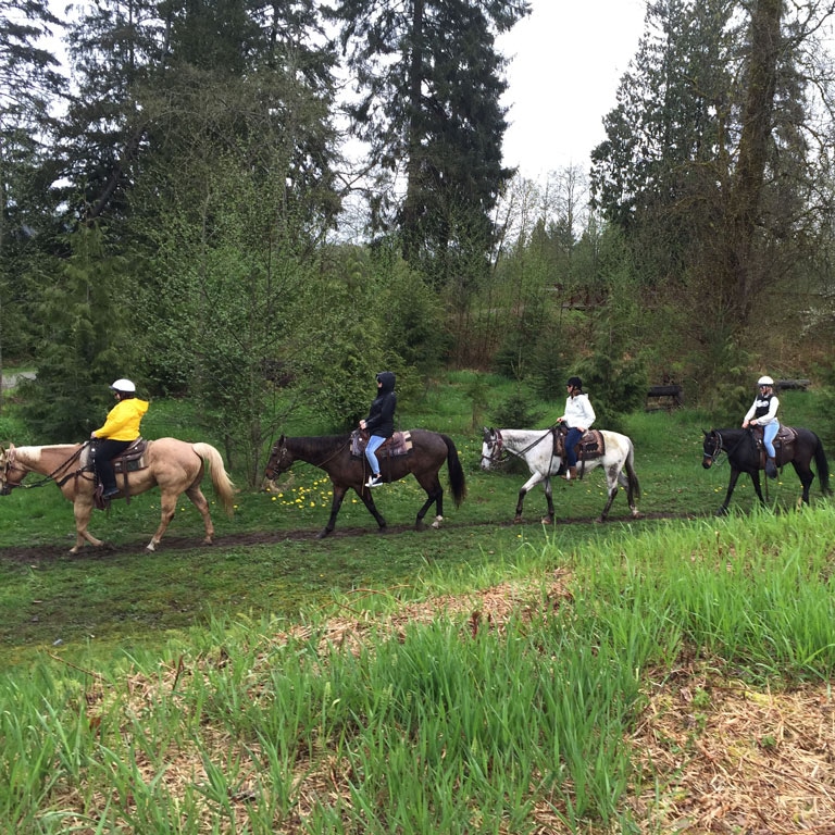 Vancouver Horseback Trail Riding
